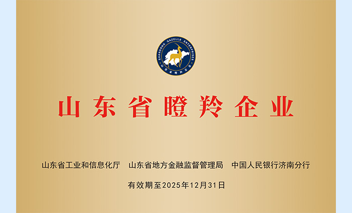 巅峰国际官网-追求健康,你我一起成长