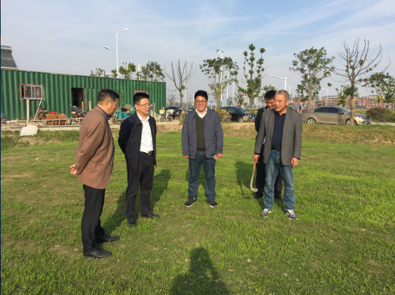 公司重要辅导查抄沉点工程推动情况.4.png