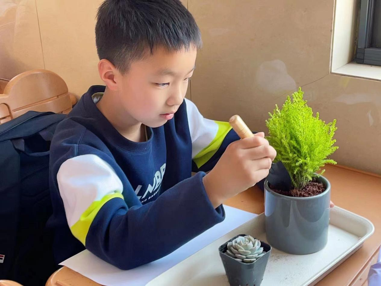 1678680207210745.png 图片2.png